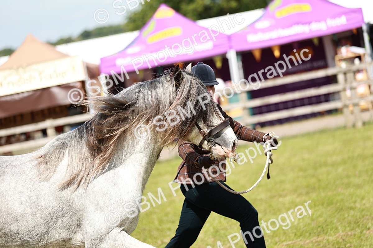 SBM_08581