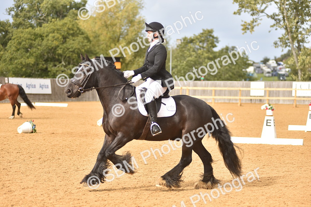 SBM_10129 - D15 - Small Tour Championship Novice 1