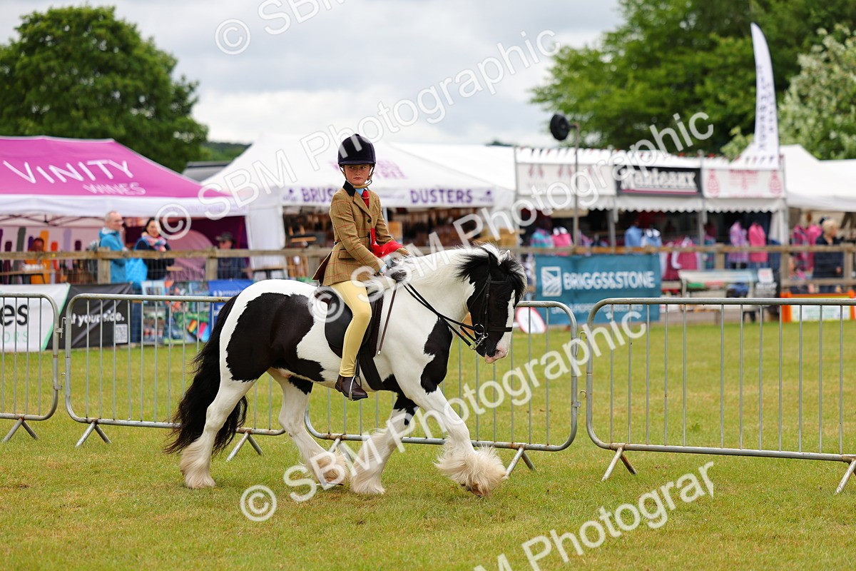 SBM_02602 - Class 9-11 Side Saddle including LIHS Rising Star Ladies Show Horse