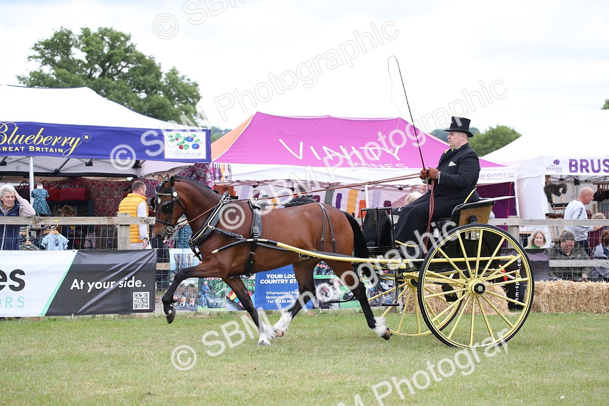 SBM_05764 - Class 12-15 - HOYS Private Driving