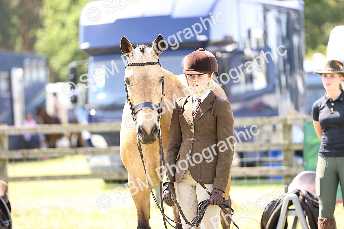 SBM_15173 - Class 79-80 - LIHS BSHA Rising Star Ridden Hunter