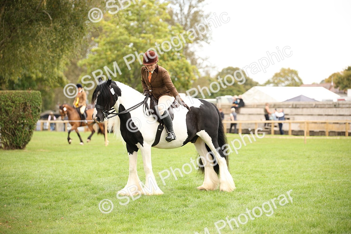 SBM_73519 - S68 - Traditional Cob Ridden