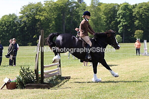 IMG_3691 - Working Hunter
