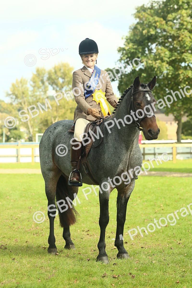 SBM_62697 - S63 - Other Coloured Horse Ridden