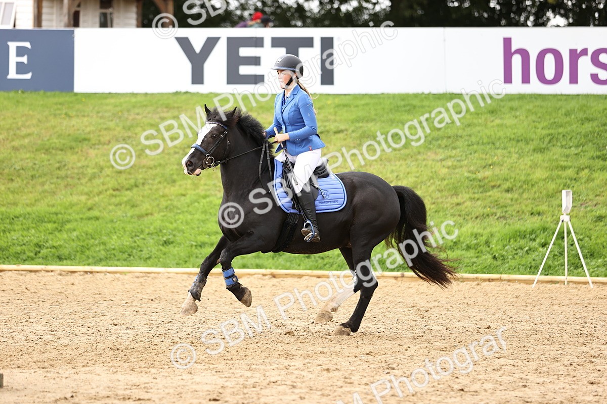 SBM_42002 - J40 Senior Horse & Pony 90cm Supreme Championship