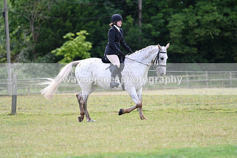 WJ7_8496 - Class 7  Riding Club Show Horse