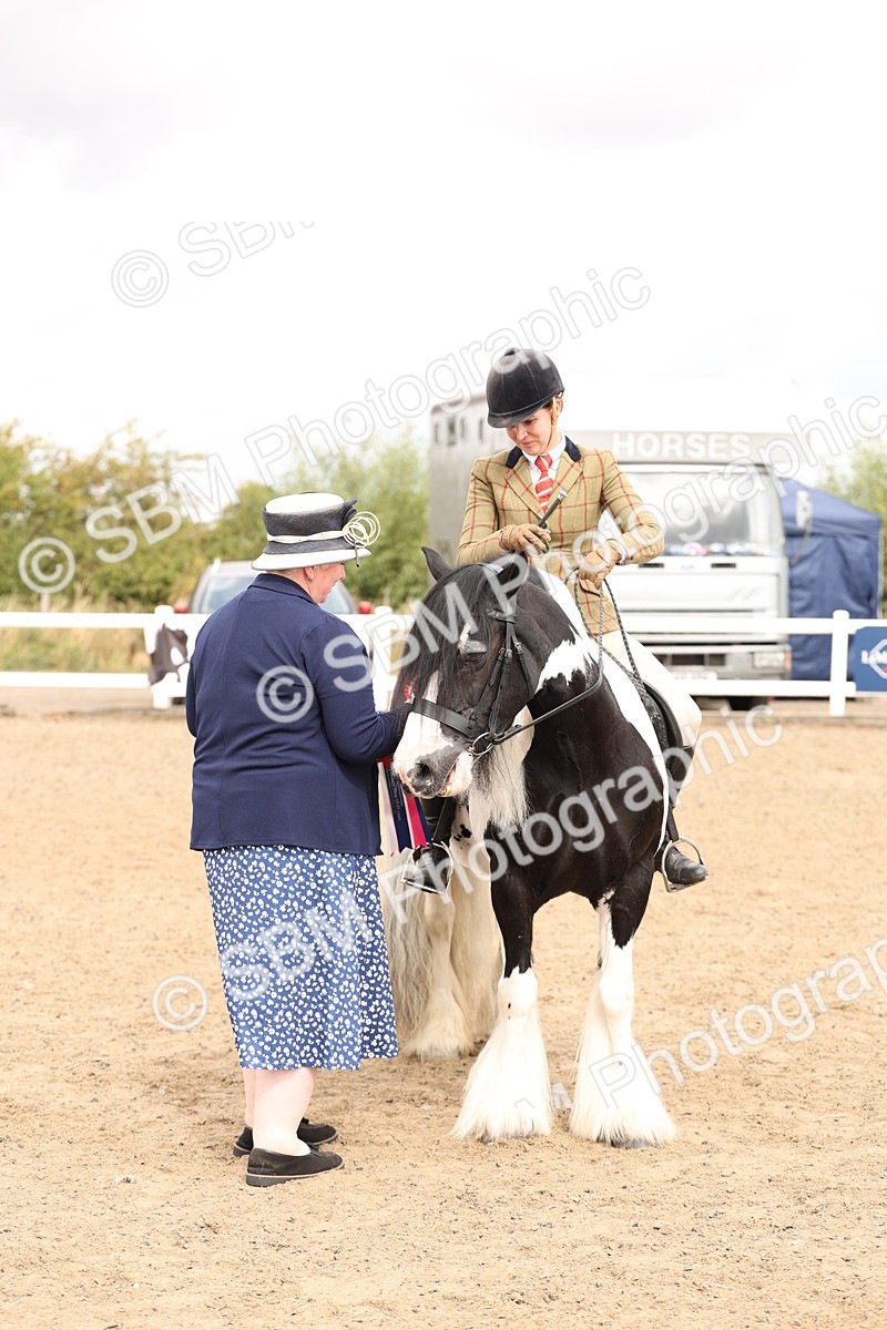 SBM_05171 - Class 56a -  Style & Performance - 50cm (15-19)