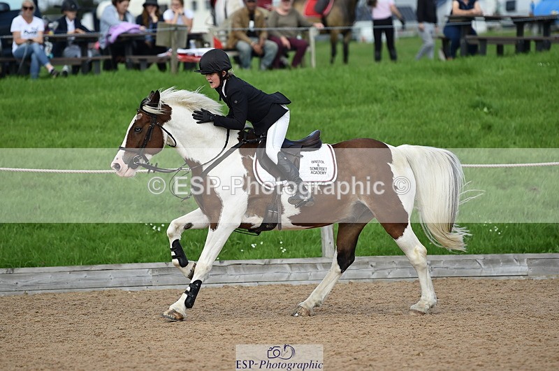 230902A-142702-01751 - Cls 3B Pony Medium 90cm