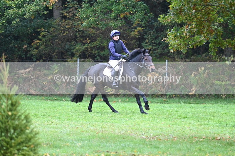 WJ7_2990 - Time 10:47 to 11:11 at the water