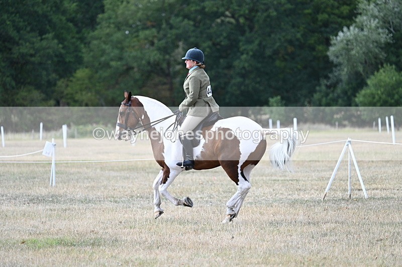 WJ7_7323 - Class 14 Ridden Coloured