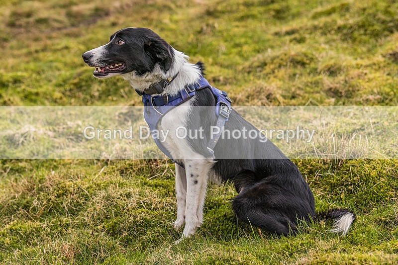 Keswick-585 - Inter Counties & Up and Down Mountain Running Champs (Junior & Senior Races) Sunday 21st April 2024