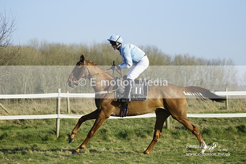 PtP 270222 423 - South & West Wilts Point-to-Point Larkhill 27/02/22