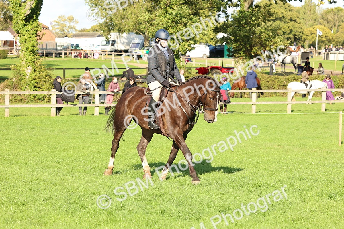 SBM_50147 - S34 - Novice & Newcomers Working Hunter