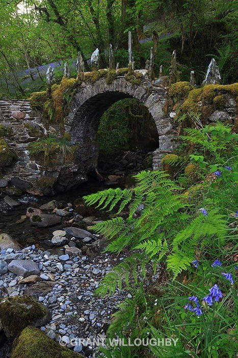  - Woods Trees Gorges and Waterfalls