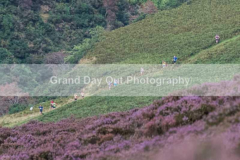 Barrow-11 - Barrow Fell Race Monday 26th August 2024