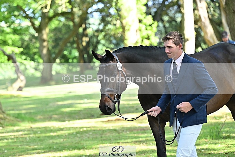 250521A-164910-01354 - C-264-Max.Warburton-EARL.DORADO