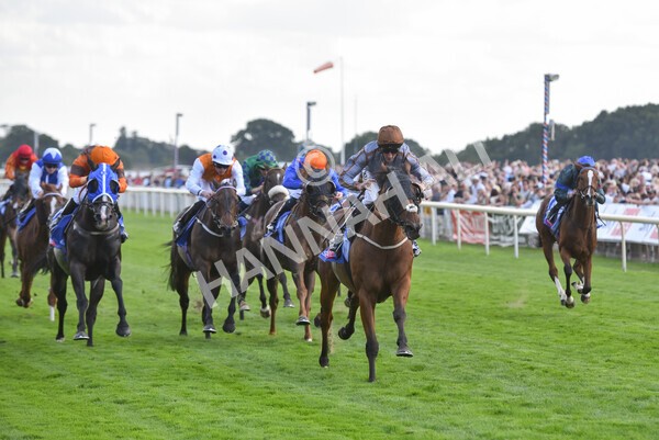 yr20082022r5-22 - Race 5 4.10pm Sky Bet Constantine Stakes