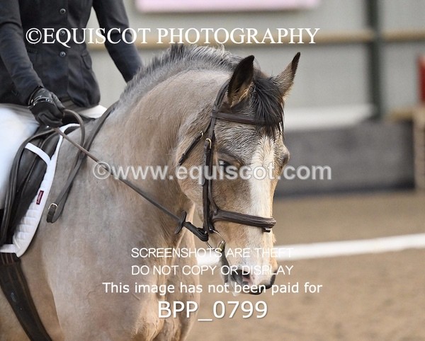 BPP_0799 - 7 - L MITCHELL