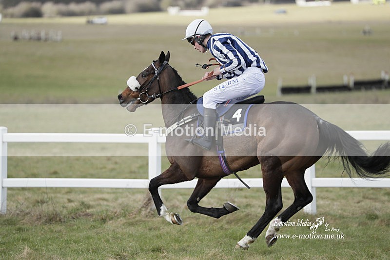 PtP 260223 853 - South & West Wilts Point-to-Point Larkhill 26/02/23