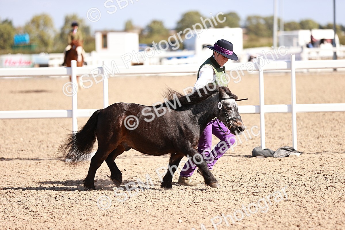 SBM_22770 - Class 705 - IH Combination 65+