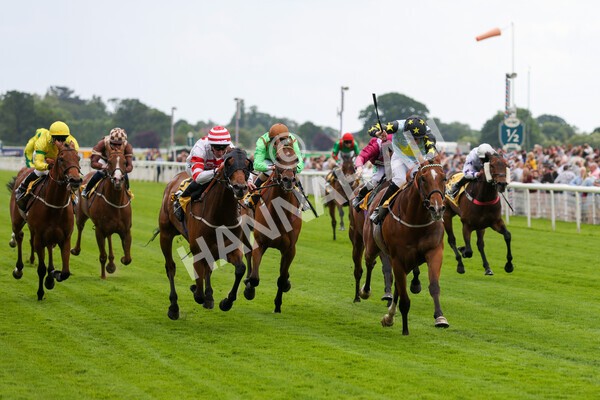 yr11062022r3-27 - Race 3 2.35pm The JCB Stakes