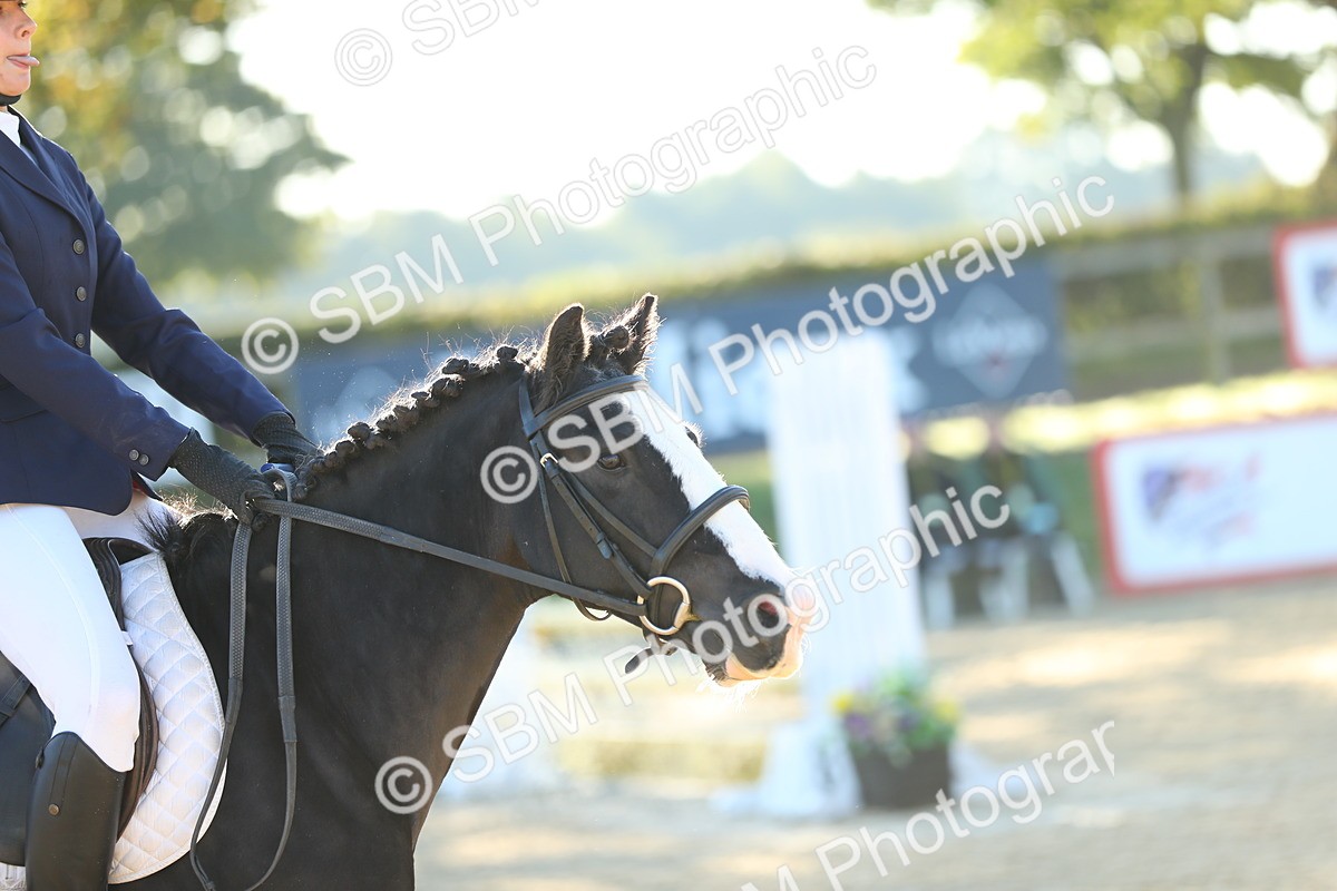 SBM_14769 - J32 - Senior 70cm Championship