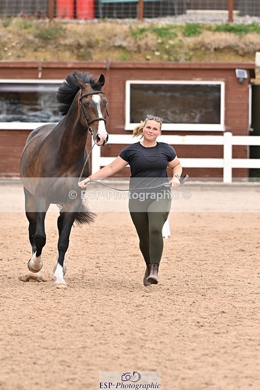 250716-144723-01393 - Trot Up 2.30 to 3.30