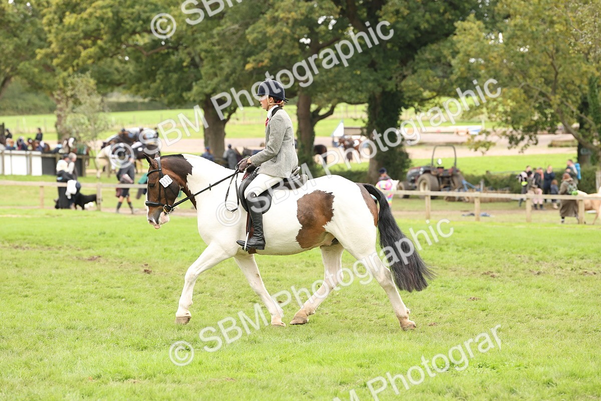 SBM_67255 - S67 - Piebald & Skewbald Horse Ridden