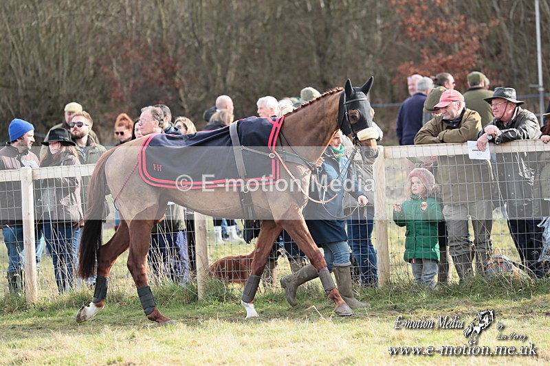 PtP 220225 434 - Kimblewick Point-to-Point  Kingston Blount 22/02/25