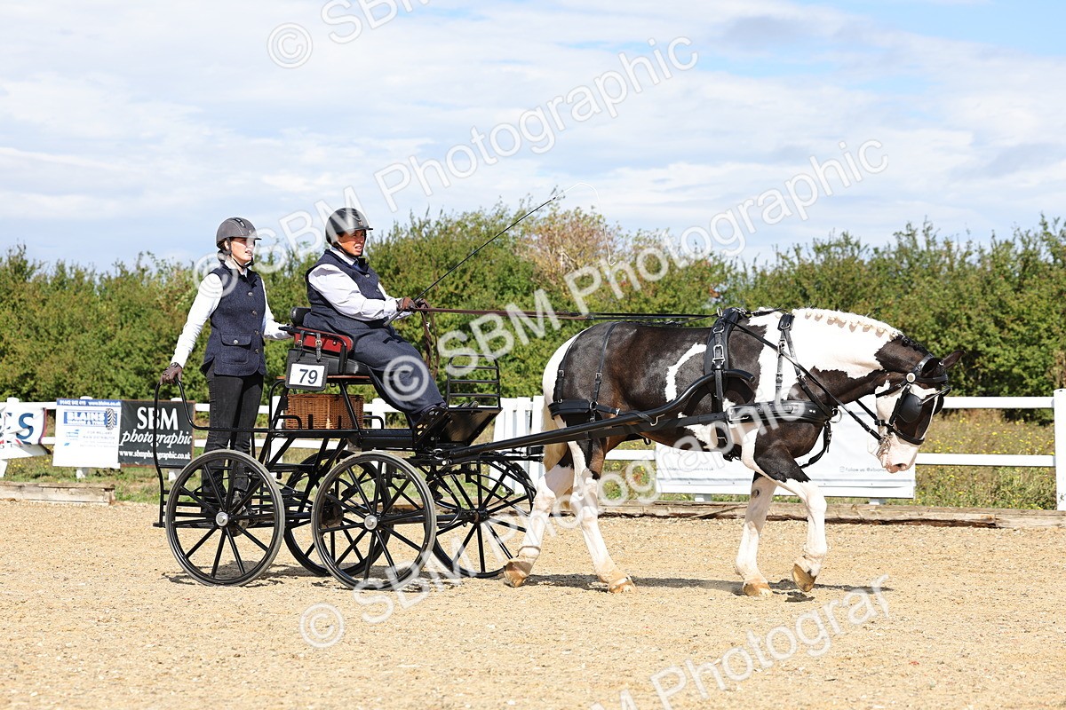 SBM_000876 - Class 8 - Novice Horse or Pony to any vehicle