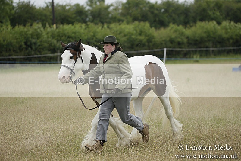 B230619-0747 - Bourne Valley Riding Club Summer Show 23/06/19