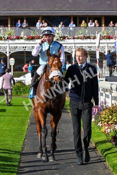 111025-Race 3-Laazm-0385 - Race 3 Coral 'Daily Reward Shaker' For Free Nursery Handicap at York