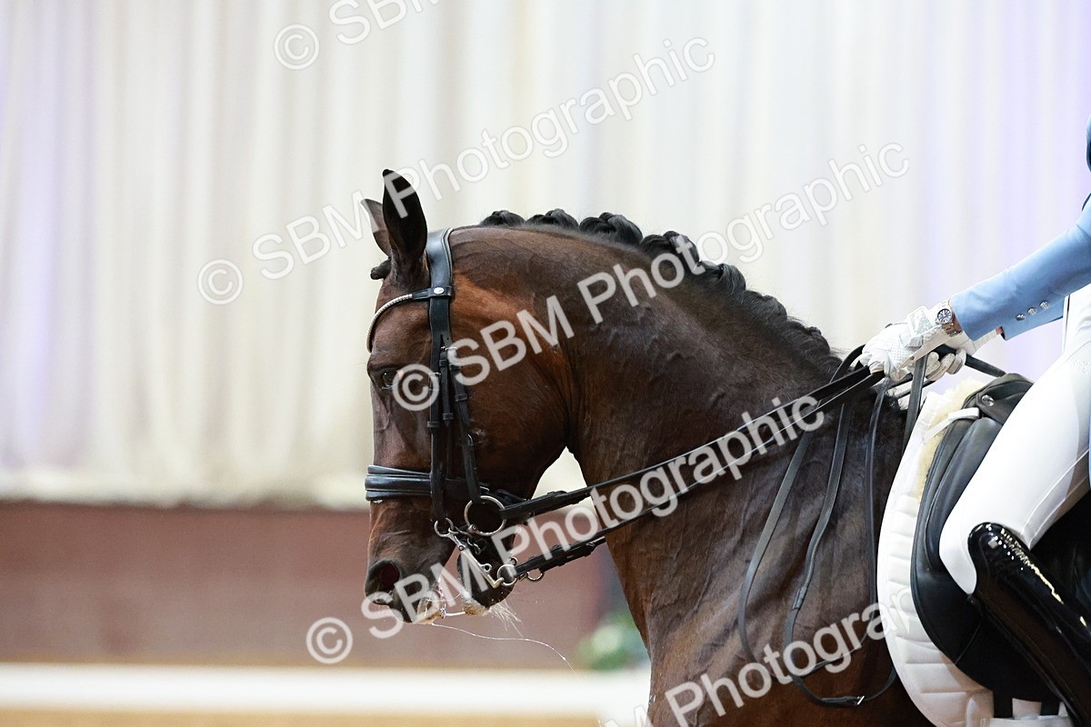 SBM_007932 - Class 9 - FEI INT II - 16.54.17.57