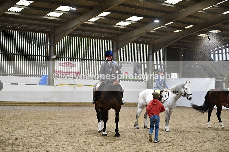 WJ5_8093 - Class 13 Ridden Part Breed