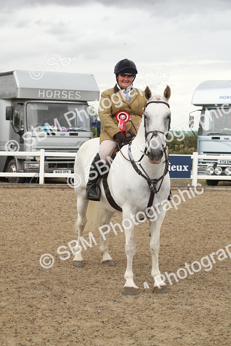 SBM_18471 - Class 510a - Working Veteran 90cm (15-19)