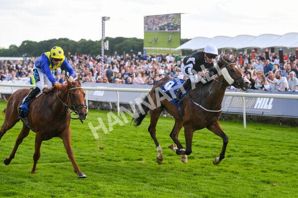 yr21052022r6-21 - Race 6: 4:42pm Yorkshire Regiment Stakes