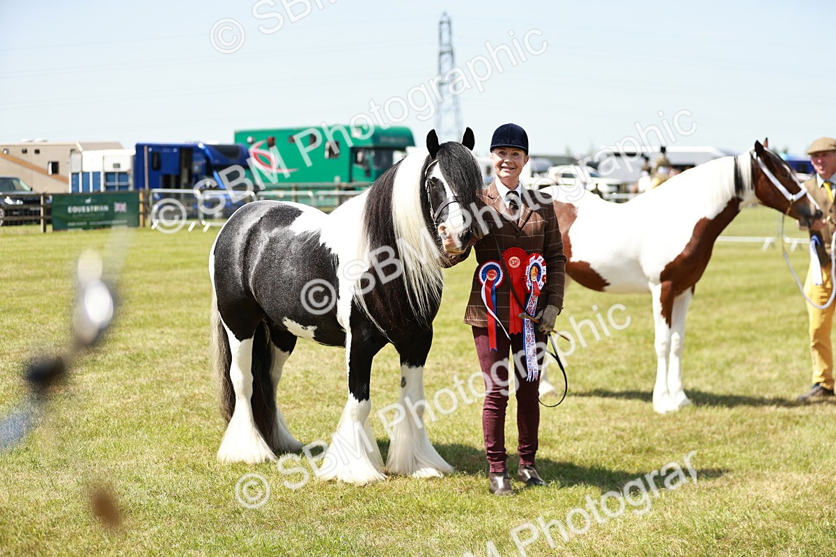 SBM_05528 - Class 41-45 - Riding Pony-Hunter Pony Breeding