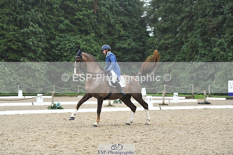 240720-143515-05693 - 142-Amberley_Pugsley-Hero_A