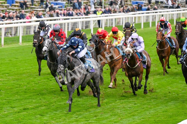 101025-Race 7-Sky Advocate-0592 - Race 7 PJ Staffing Group Apprentice Handicap at York