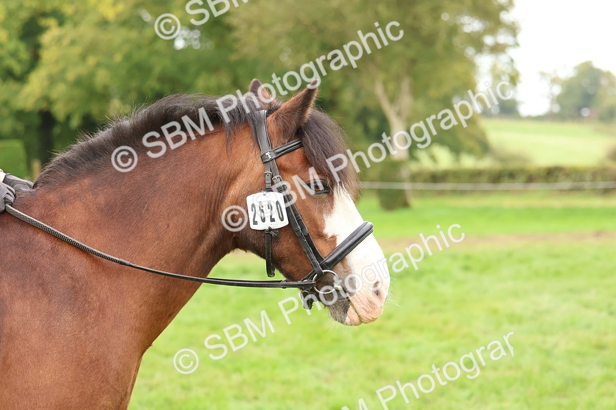 SBM_56717 - S40 - Starters Ridden Showing