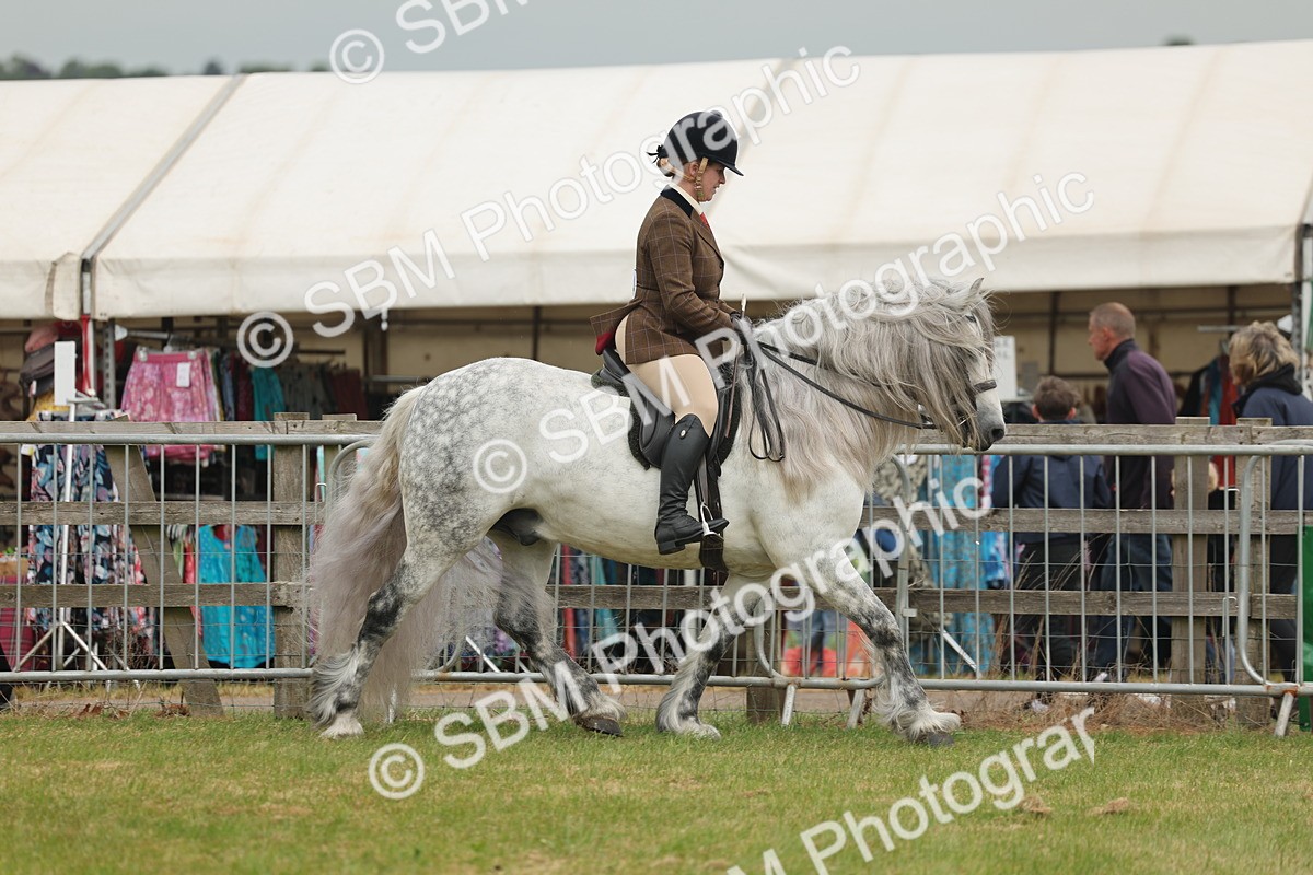 SBM_08931 - Class 78-80 - Ridden M&M Non Welsh Ponies
