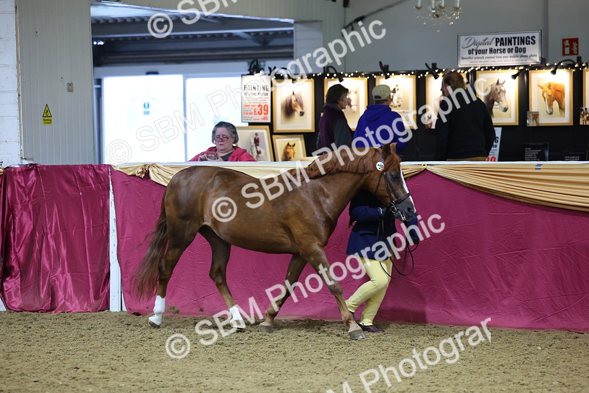 SBM_19626 - Class 901 - Supreme Final - IH Diamond