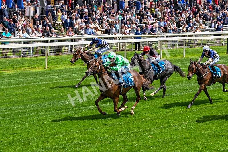 120626-Race 2-Everatease-6839 - Race 2 14.25pm Constant Security Keeping York Racegoers Safe Rous Selling Stakes