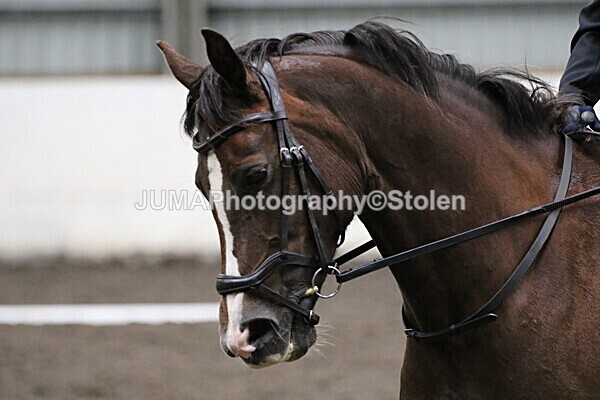 SIAL4629 - CAbin Dressage 5th july 2025