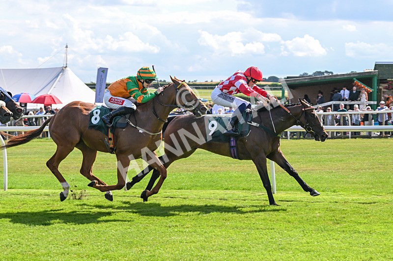 160725-Race 4-Lady Bouquet-9156 - Race 4