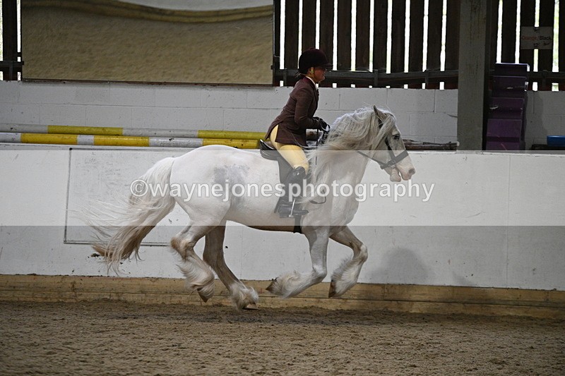 WJ7_3691 - Class 16 Ridden Coloured/ Odd Coloured