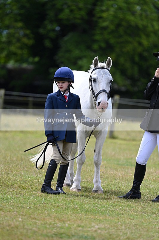 WJ7_6652 - Class 5 Handsome Gelding in hand