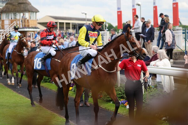 yr22052022r4-7 - Race 4: 5:05pm Sky Bet Sunday Mile