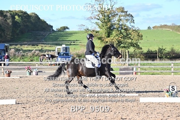 BPP_9509 - SHORT ARENA