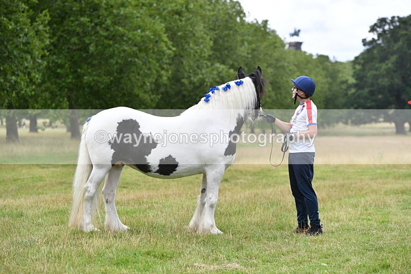 WJ5_9844 - Time at Jump 09:22 to 10:43